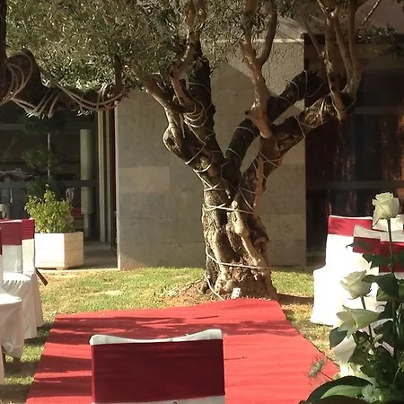 Hotel Les Torres Sant Esteve Sesrovires